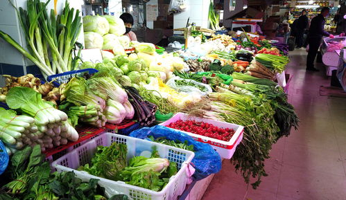 视频丨申城农副产品市场供应充足,市民菜篮子有保障