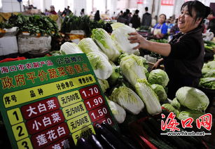 海口平价蔬菜亮牌销售 最高两块五