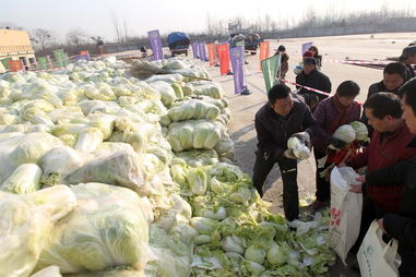 郑州数万市民排队1公里领免费白菜